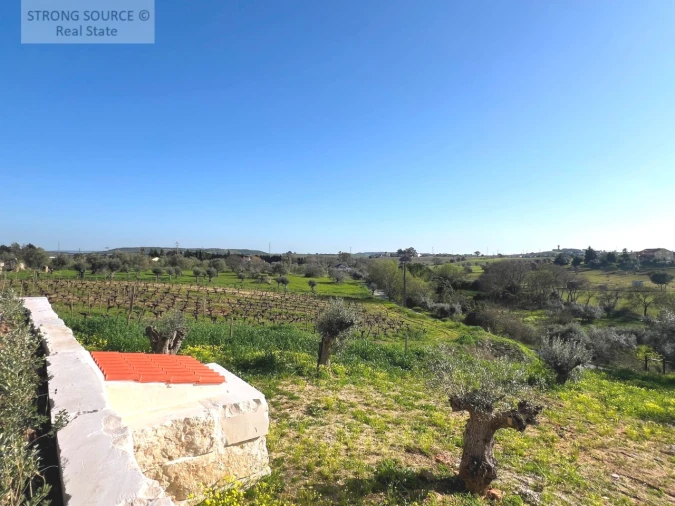 Quinta T4 para Venda em São Vicente do Paul e Vale de Figueira Foto 75