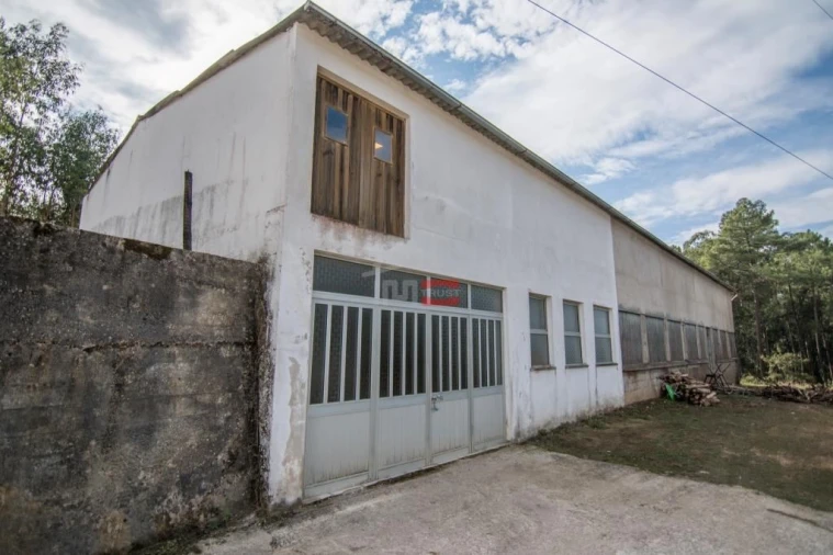 Moradia T3 para Venda em São Mamede Foto 15