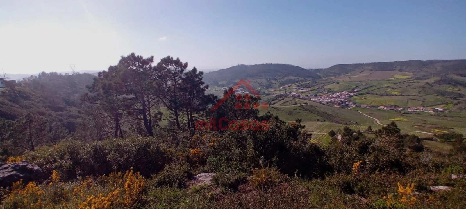Terreno Agricola ou Rústico para Venda em Carvoeira e Carmões Foto 2