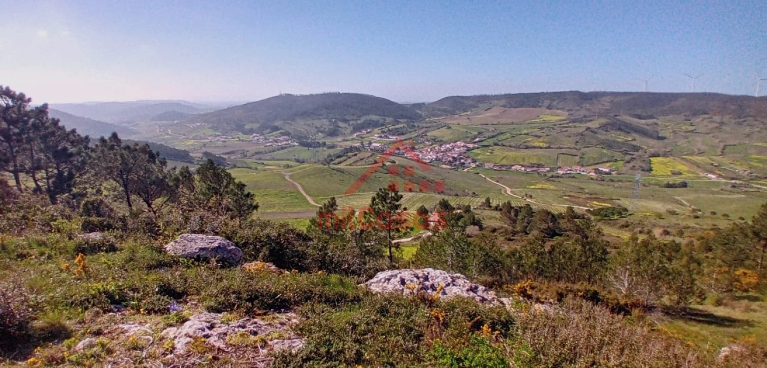 Terreno Agricola ou Rústico para Venda em Carvoeira e Carmões Foto 4