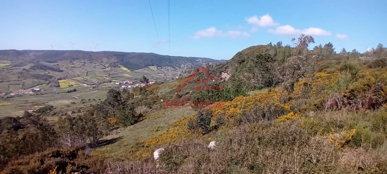 Terreno Agricola ou Rústico para Venda em Carvoeira e Carmões Foto 6