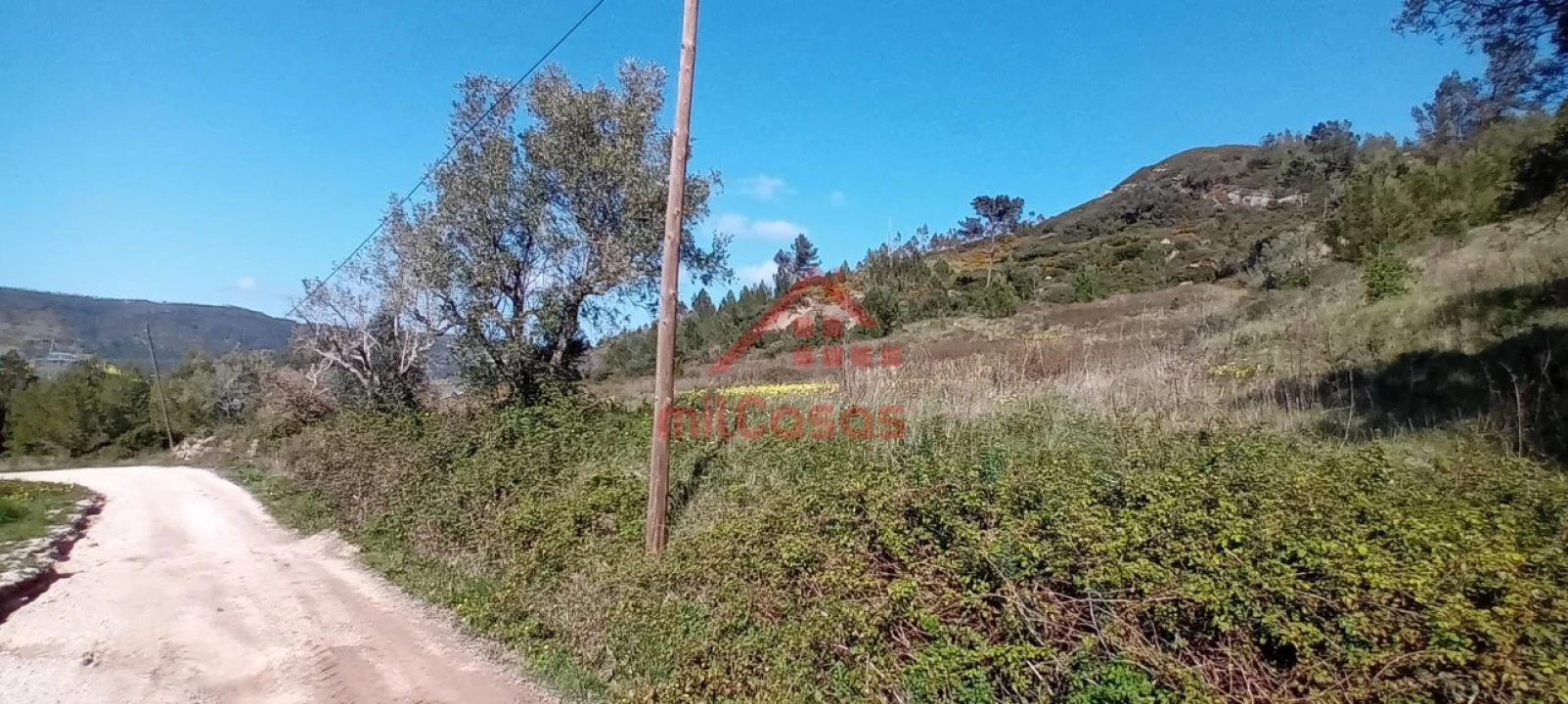 Terreno Agricola ou Rústico para Venda em Carvoeira e Carmões Foto 8