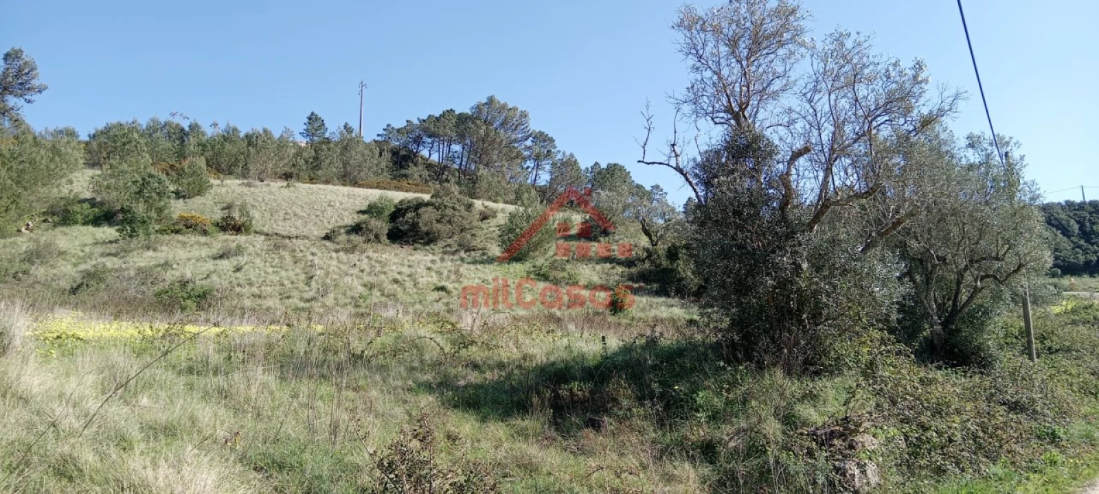 Terreno Agricola ou Rústico para Venda em Carvoeira e Carmões Foto 10