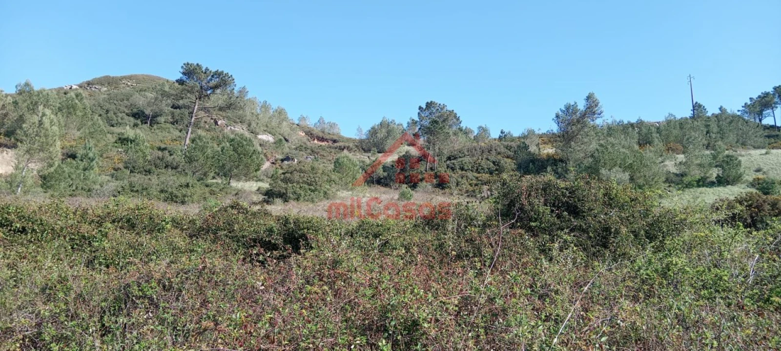 Terreno Agricola ou Rústico para Venda em Carvoeira e Carmões Foto 13