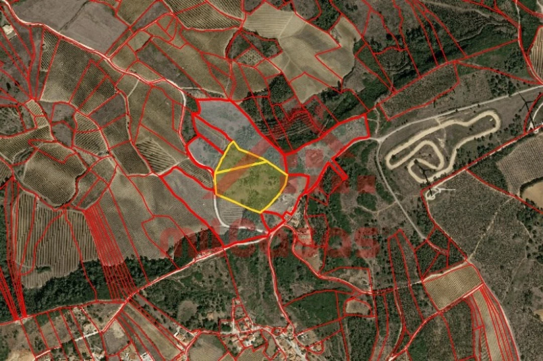 Terreno Agricola ou Rústico para Venda em Carvoeira e Carmões Foto 16