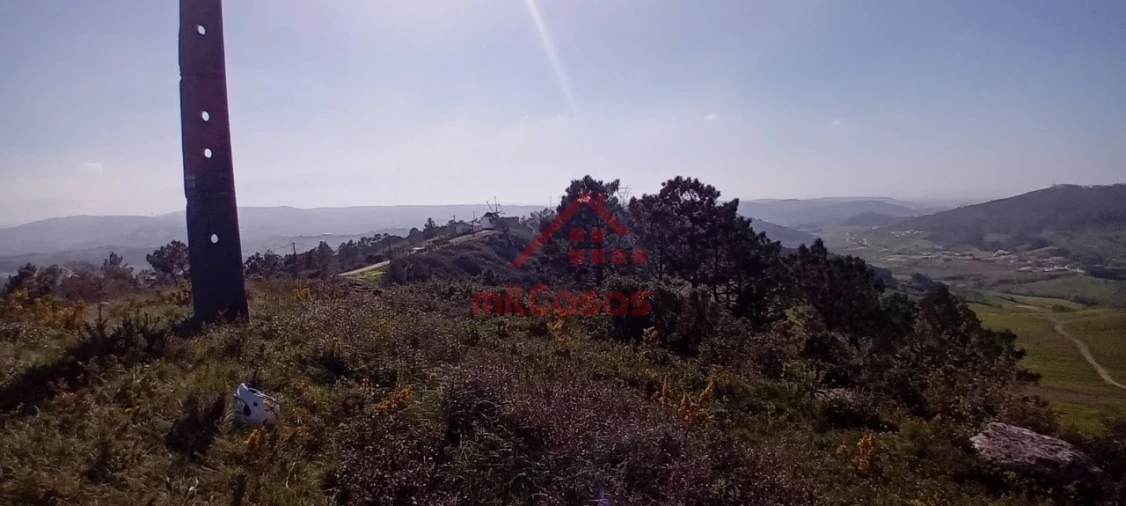 Terreno Agricola ou Rústico para Venda em Carvoeira e Carmões Foto 3