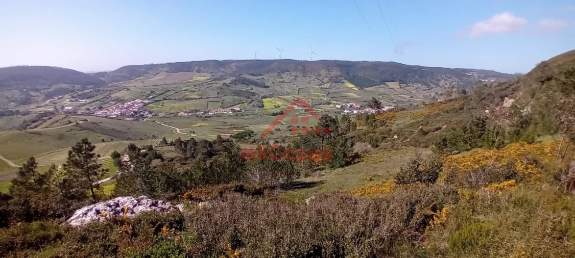 Terreno Agricola ou Rústico para Venda em Carvoeira e Carmões Foto 5