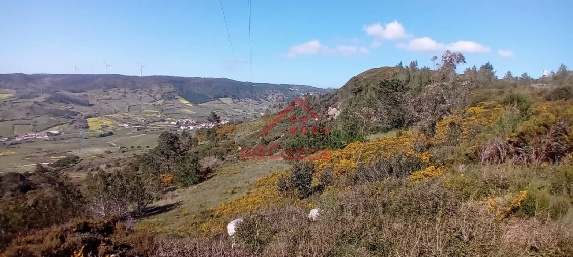 Terreno Agricola ou Rústico para Venda em Carvoeira e Carmões Foto 6