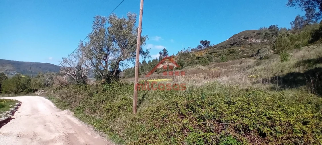 Terreno Agricola ou Rústico para Venda em Carvoeira e Carmões Foto 8