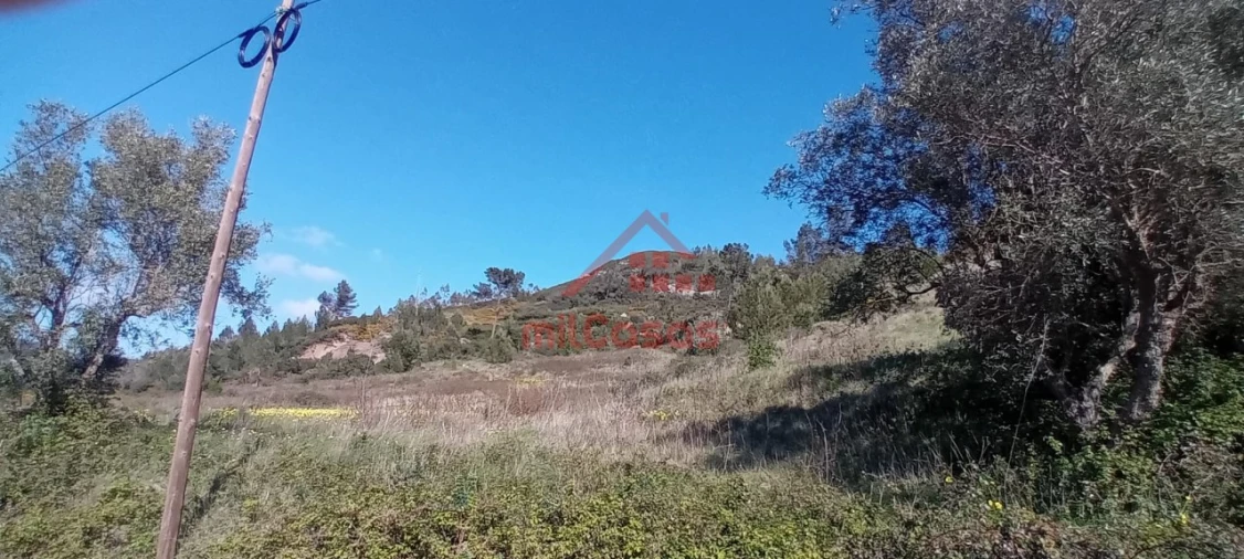 Terreno Agricola ou Rústico para Venda em Carvoeira e Carmões Foto 9