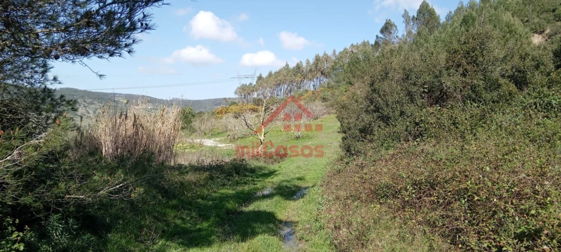 Terreno Agricola ou Rústico para Venda em Carvoeira e Carmões Foto 15