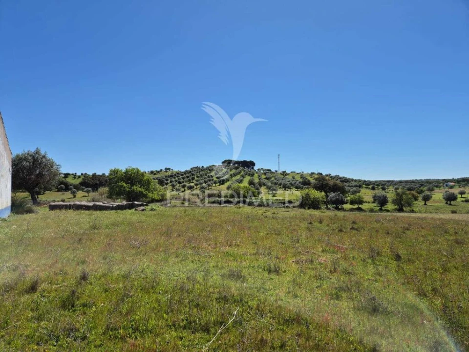 Quinta T4 para Venda em Pavia Foto 9