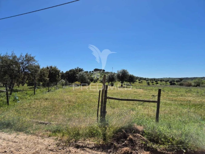 Quinta T4 para Venda em Pavia Foto 11