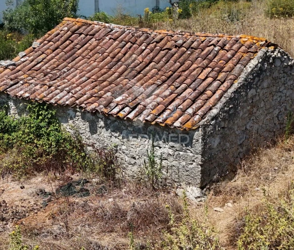 Quinta para Venda em Arrimal e Mendiga Foto 5