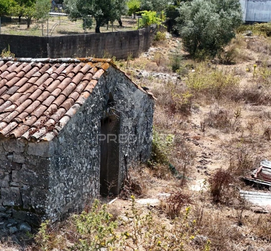 Quinta para Venda em Arrimal e Mendiga Foto 4