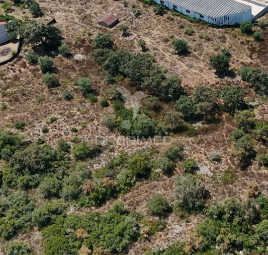 Quinta para Venda em Arrimal e Mendiga Foto 3