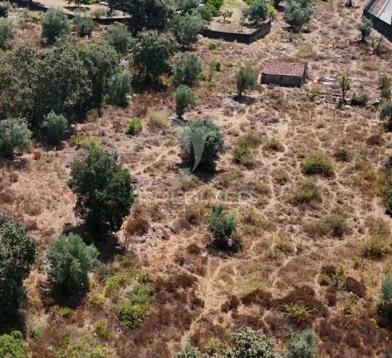 Quinta para Venda em Arrimal e Mendiga Foto 2