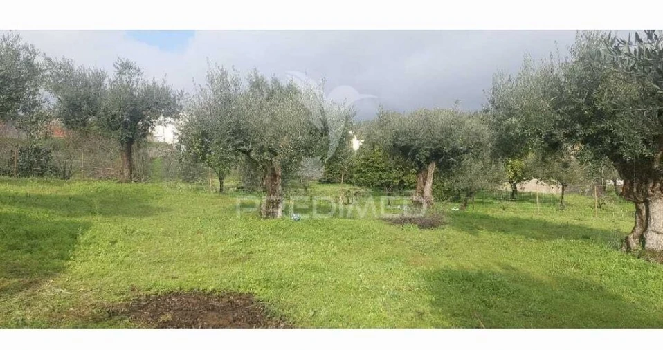 Terreno para Venda em Praia do Ribatejo Foto 5