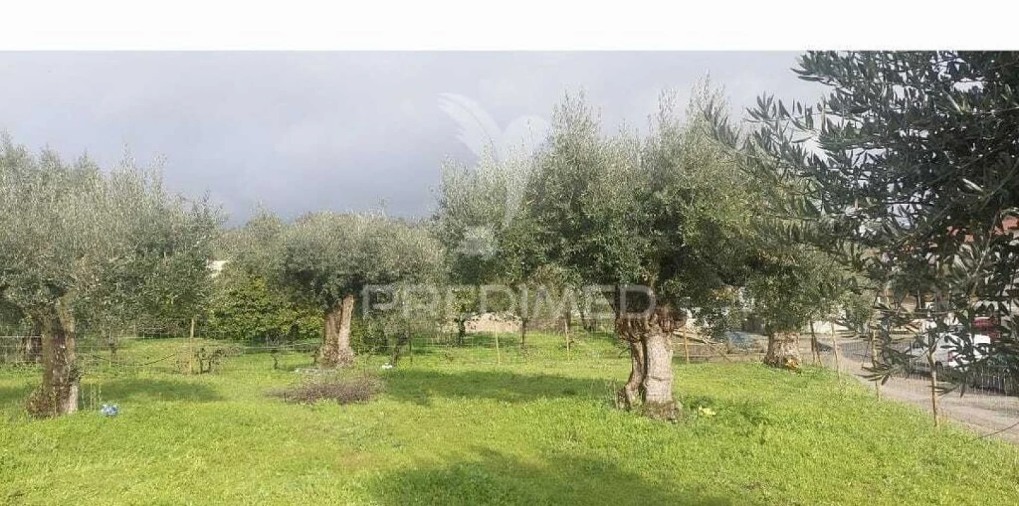 Terreno para Venda em Praia do Ribatejo Foto 6