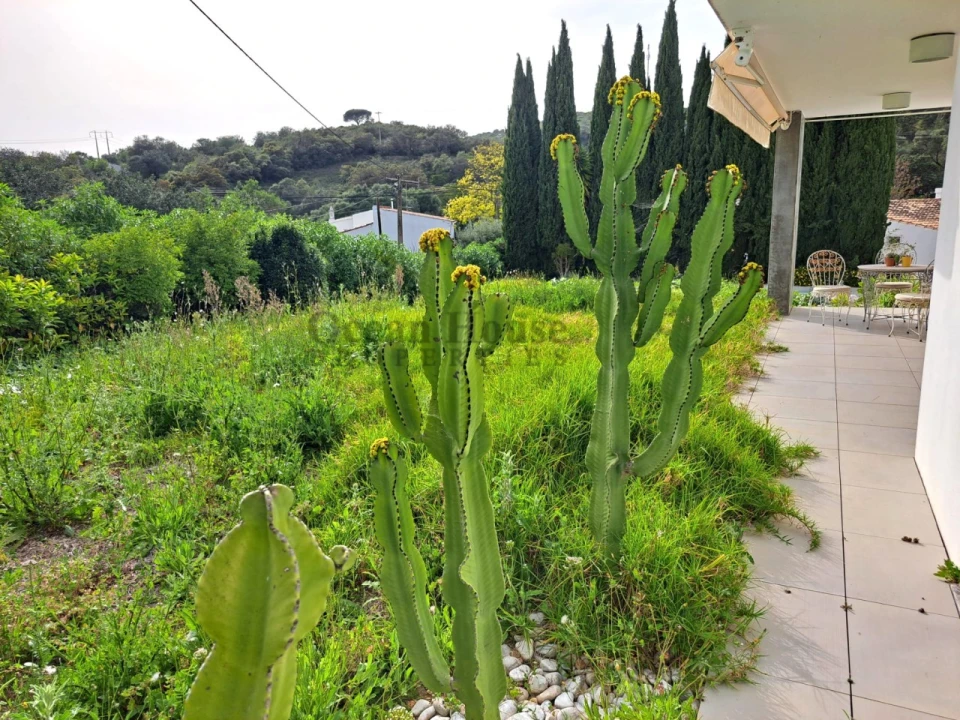 Moradia T5 para Venda em São Brás de Alportel Foto 21