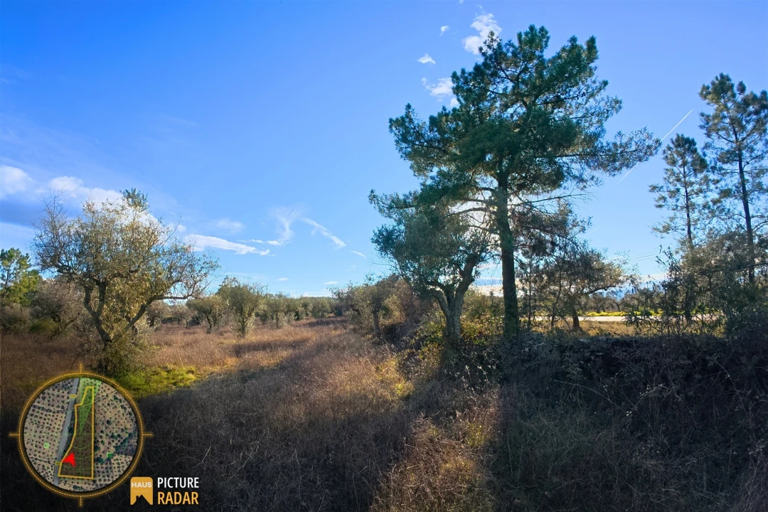 Terreno Agricola ou Rústico para Venda em Salgueiro do Campo Foto 18