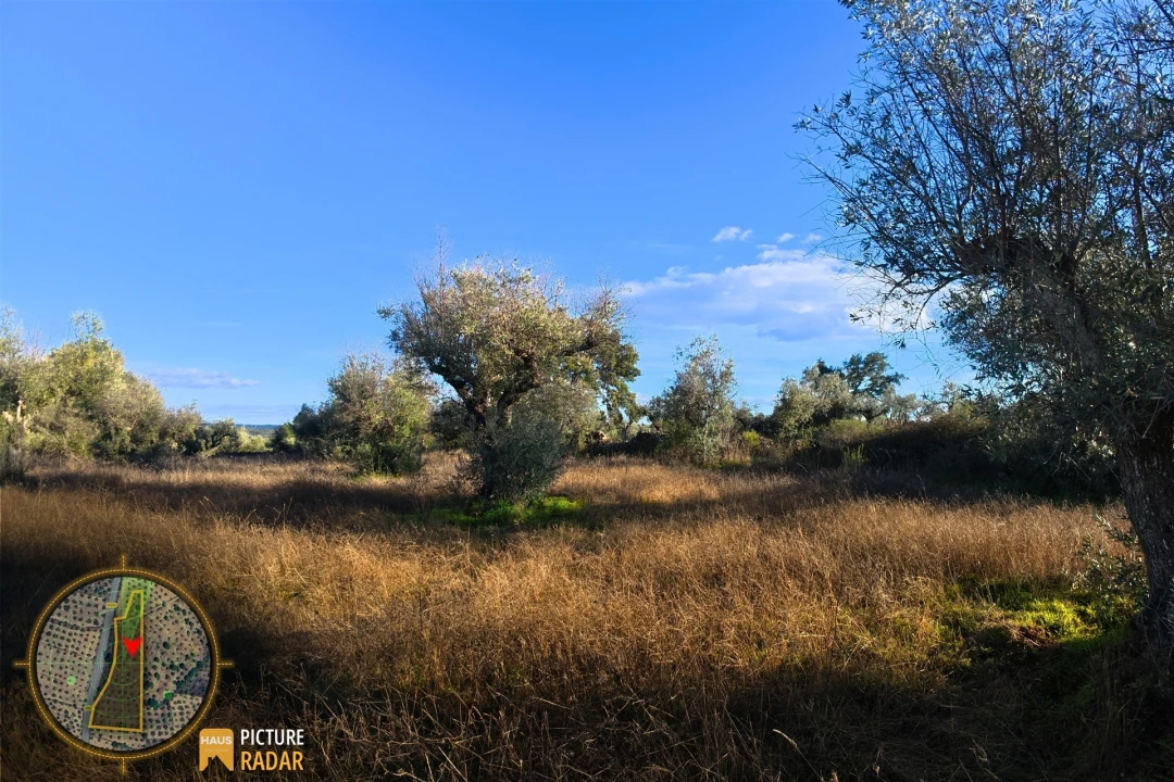 Terreno Agricola ou Rústico para Venda em Salgueiro do Campo Foto 24