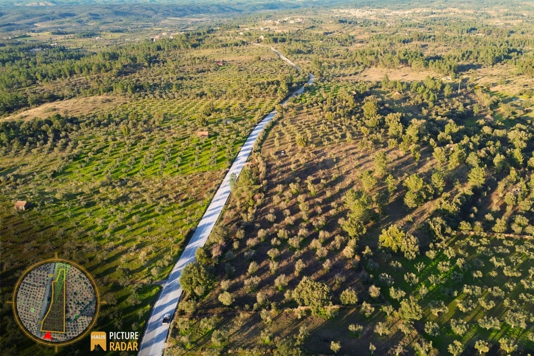 Terreno Agricola ou Rústico para Venda em Salgueiro do Campo Foto 26
