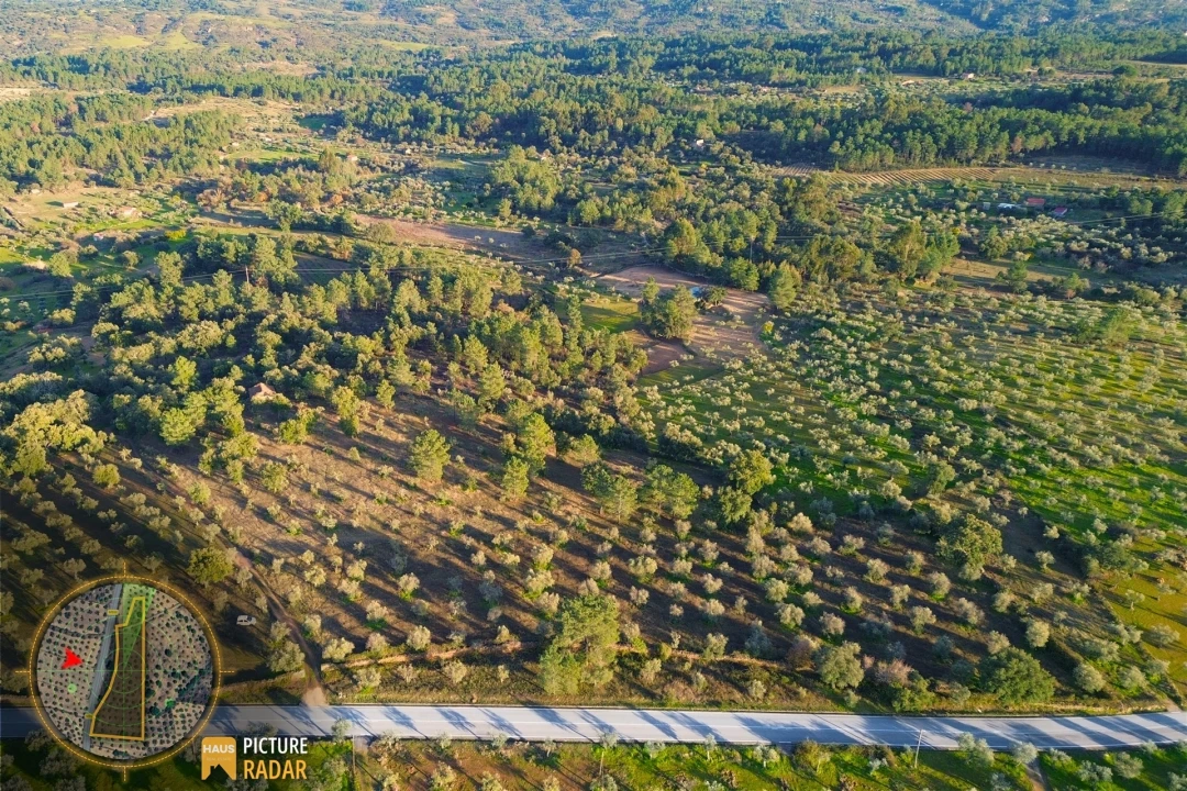 Terreno Agricola ou Rústico para Venda em Salgueiro do Campo Foto 14