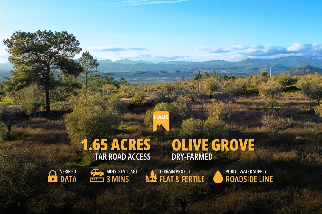 Terreno Agricola ou Rústico para Venda em Salgueiro do Campo Foto 1