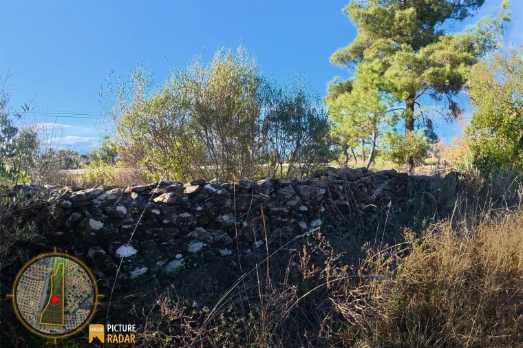 Terreno Agricola ou Rústico para Venda em Salgueiro do Campo Foto 20
