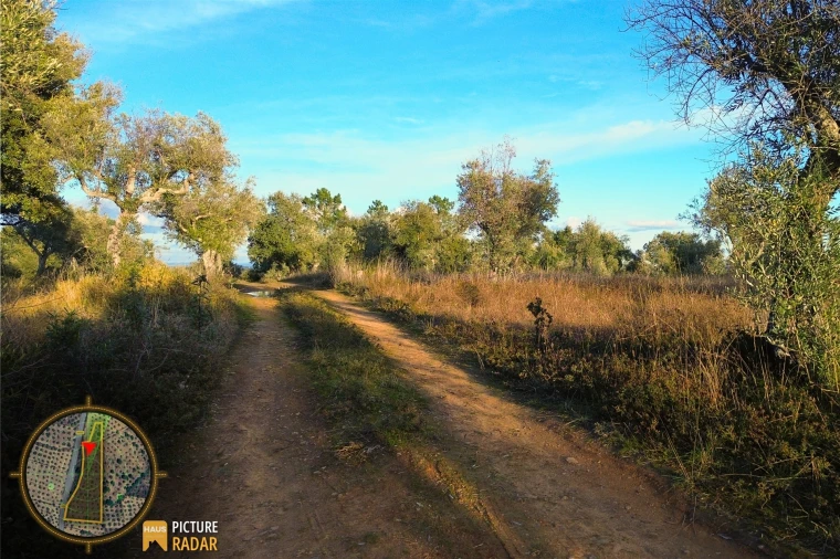 Terreno Agricola ou Rústico para Venda em Salgueiro do Campo Foto 9
