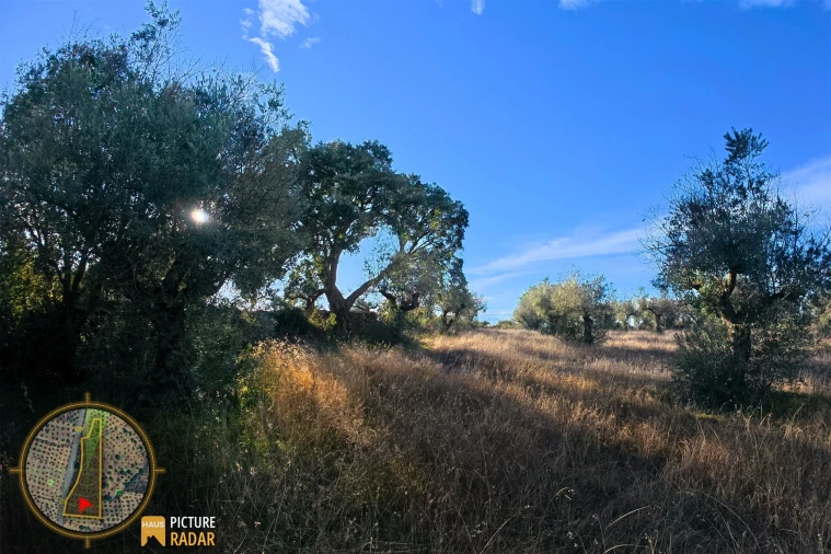 Terreno Agricola ou Rústico para Venda em Salgueiro do Campo Foto 21