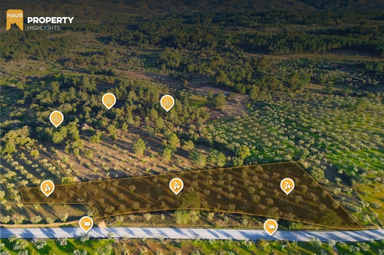 Terreno Agricola ou Rústico para Venda em Salgueiro do Campo Foto 4