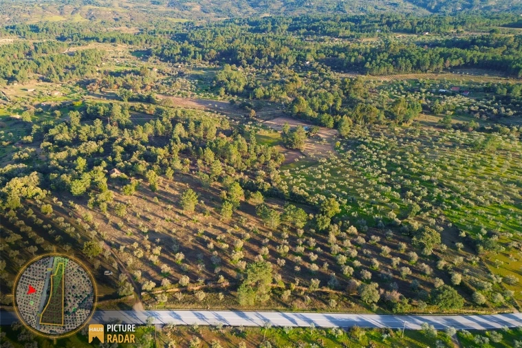 Terreno Agricola ou Rústico para Venda em Salgueiro do Campo Foto 14
