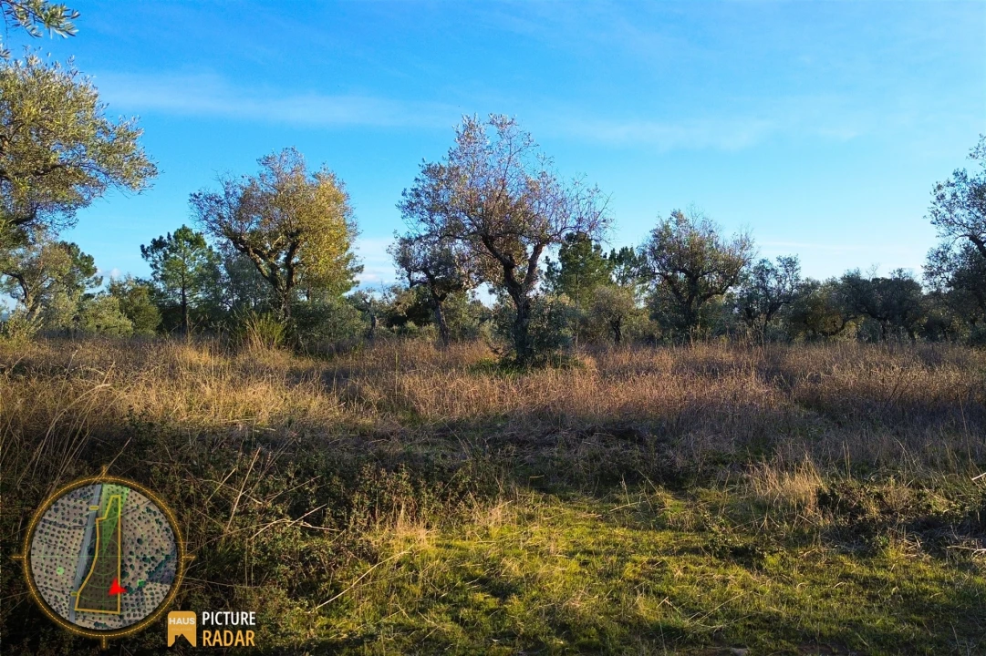 Terreno Agricola ou Rústico para Venda em Salgueiro do Campo Foto 16