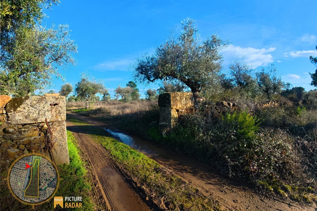 Terreno Agricola ou Rústico para Venda em Salgueiro do Campo Foto 8