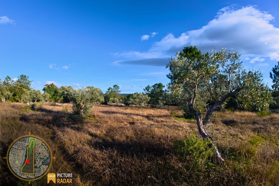 Terreno Agricola ou Rústico para Venda em Salgueiro do Campo Foto 27