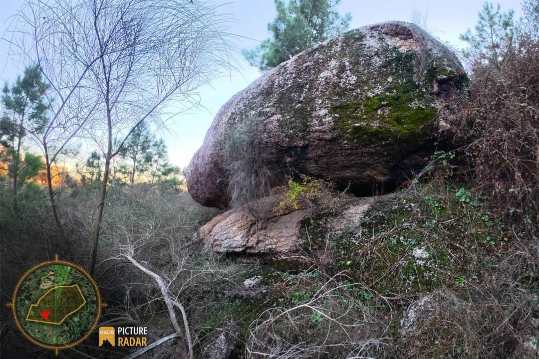 Terreno Agricola ou Rústico para Venda em Póvoa de Rio de Moinhos e Cafede Foto 19