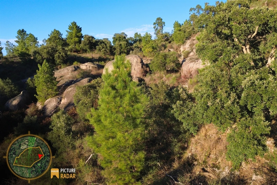 Terreno Agricola ou Rústico para Venda em Póvoa de Rio de Moinhos e Cafede Foto 18