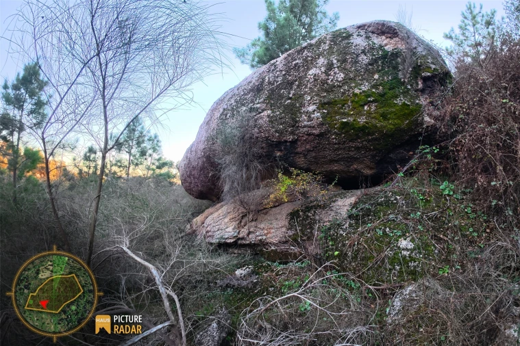 Terreno Agricola ou Rústico para Venda em Póvoa de Rio de Moinhos e Cafede Foto 19