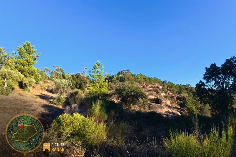 Terreno Agricola ou Rústico para Venda em Póvoa de Rio de Moinhos e Cafede Foto 10