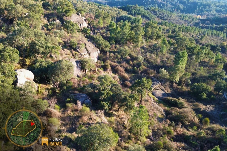 Terreno Agricola ou Rústico para Venda em Póvoa de Rio de Moinhos e Cafede Foto 28