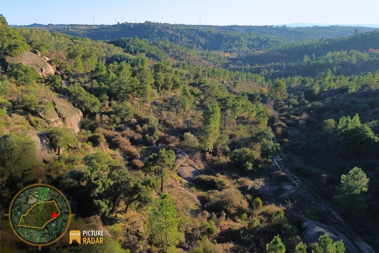 Terreno Agricola ou Rústico para Venda em Póvoa de Rio de Moinhos e Cafede Foto 13