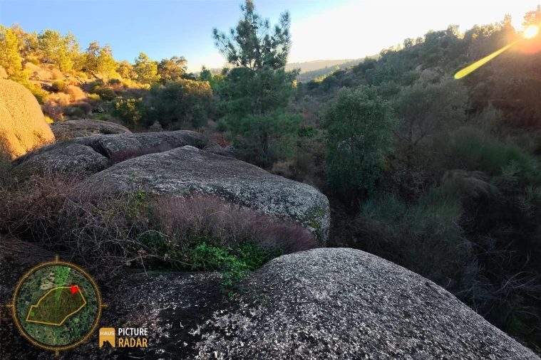 Terreno Agricola ou Rústico para Venda em Póvoa de Rio de Moinhos e Cafede Foto 12