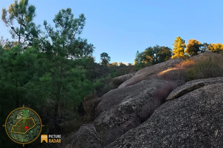 Terreno Agricola ou Rústico para Venda em Póvoa de Rio de Moinhos e Cafede Foto 21