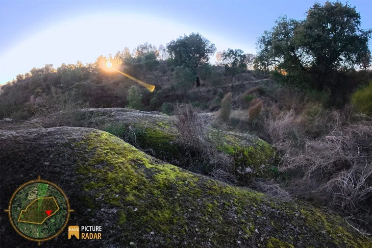 Terreno Agricola ou Rústico para Venda em Póvoa de Rio de Moinhos e Cafede Foto 17