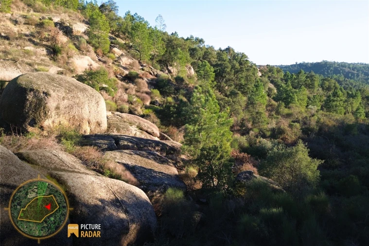 Terreno Agricola ou Rústico para Venda em Póvoa de Rio de Moinhos e Cafede Foto 7