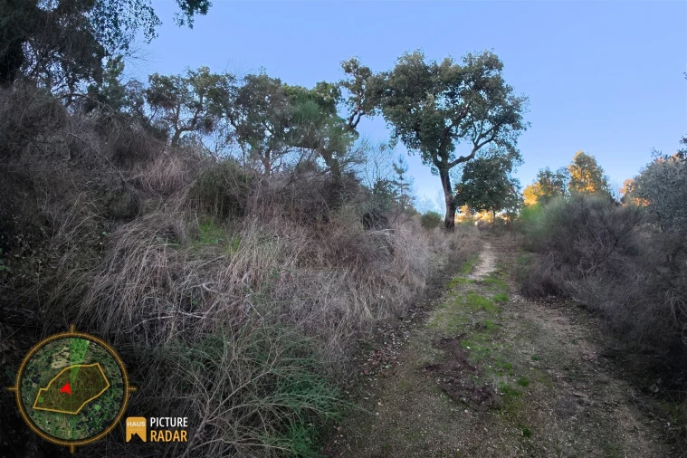 Terreno Agricola ou Rústico para Venda em Póvoa de Rio de Moinhos e Cafede Foto 24
