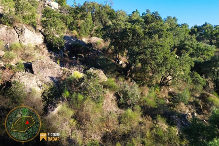 Terreno Agricola ou Rústico para Venda em Póvoa de Rio de Moinhos e Cafede Foto 27
