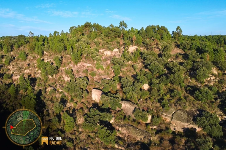 Terreno Agricola ou Rústico para Venda em Póvoa de Rio de Moinhos e Cafede Foto 15